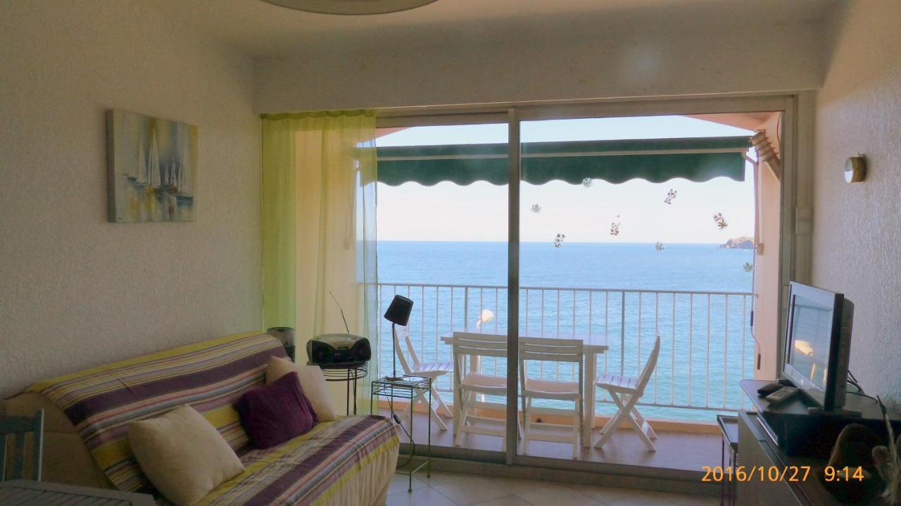 Face A La Mer Residence Les Elmes Banyuls-sur-Mer Bagian luar foto