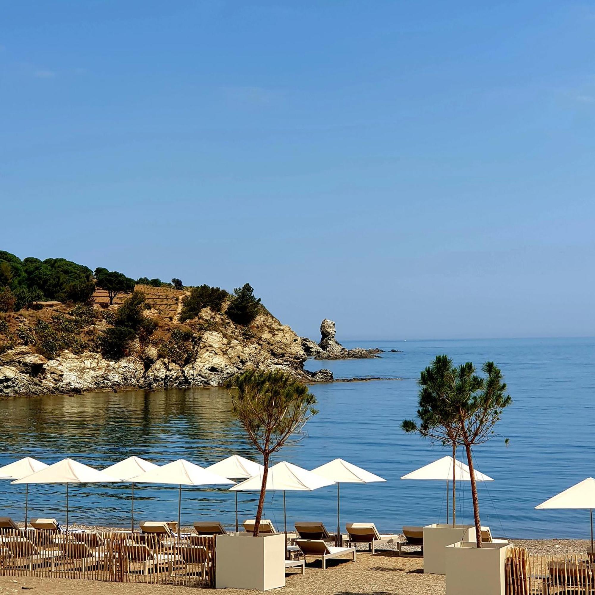 Face A La Mer Residence Les Elmes Banyuls-sur-Mer Bagian luar foto